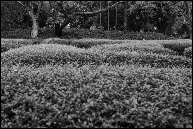 ©copyright Marco Giardini